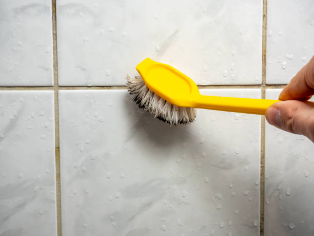 Home Mold Removal in Groveport, OH