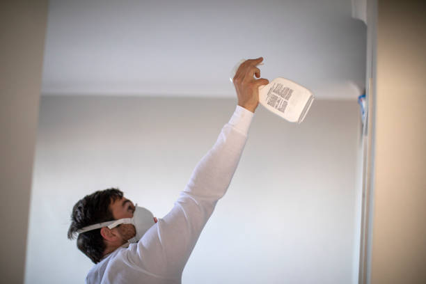 Best Mold Remediation Services  in Groveport, OH