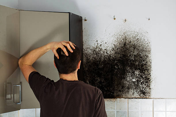 Best Mold Testing  in Groveport, OH